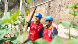 辽宁朝阳凌源：供电有保障 黄瓜产业兴