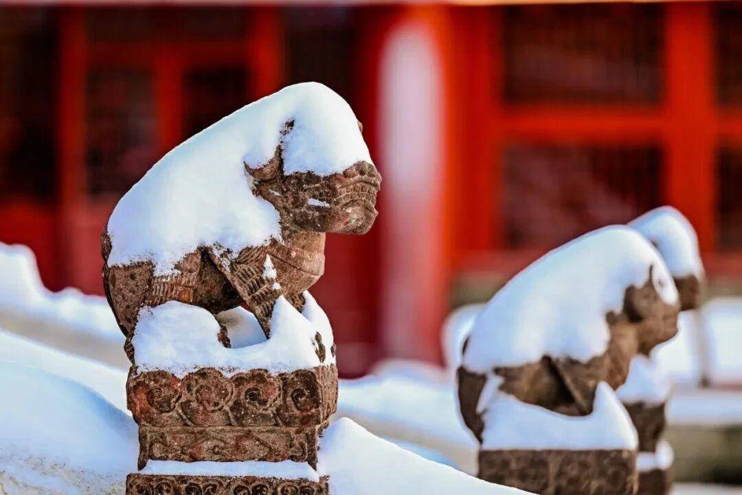 沈阳下雪了，故宫美成诗