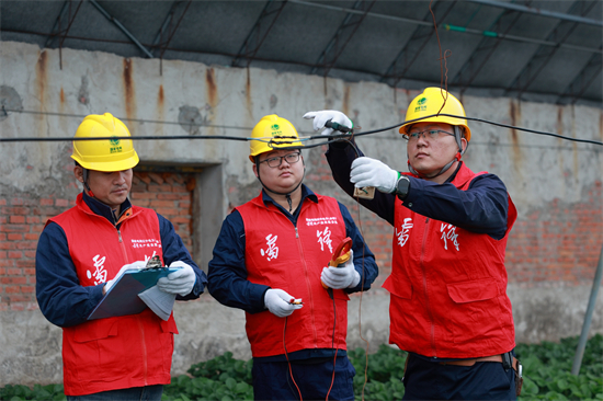 丹东:电亮“莓”好生活 丹东:电亮“莓”好生活_fororder_丹东电力1