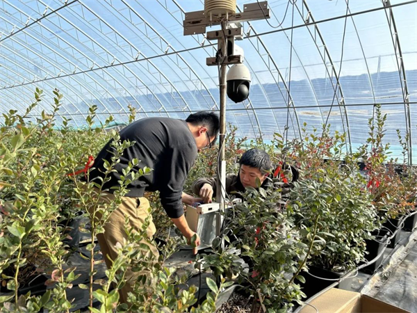 大连大学这支团队把电磁波玩出新花样 让人们重新“看见”世界_fororder_大连大学团队4