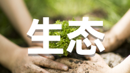 沈阳：法治赋能绿色转型 生态护航产业发展_fororder_生态