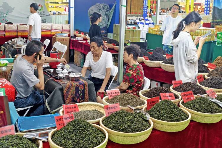 第十届中国（大连）国际茶产业博览会开幕