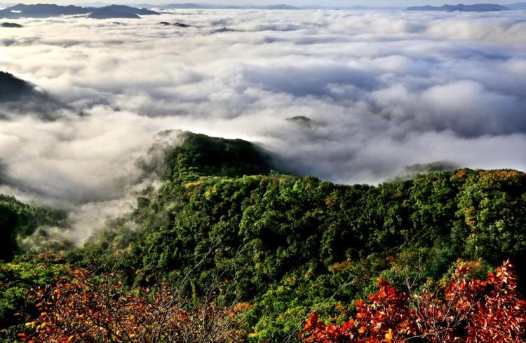 抚顺天女山首届枫叶音乐节开幕