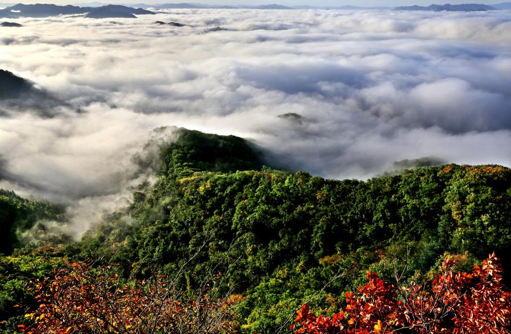 抚顺天女山首届枫叶音乐节开幕