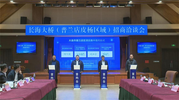 图说·普兰店|链式招商蓄势能 项目建设夯实基石_fororder_图片 5