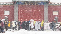 沈阳故宫赏雪 美景醉游人