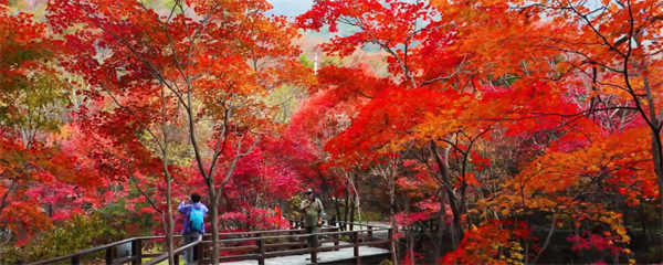 辽宁乡村：乡遇山海 辽瞰四季_fororder_张琪辽宁乡村3