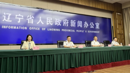 辽宁出台《辽宁省消防安全责任制实施办法》破解消防治理顽疾