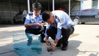 涉案价值超千万元！大连市公安局普兰店分局破获特大案件