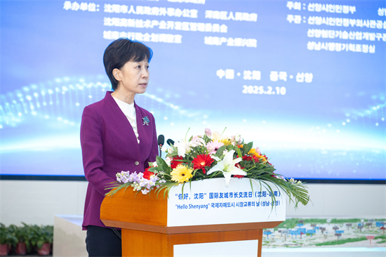 “你好，沈阳”国际友城市长交流日（沈阳—城南）活动举办