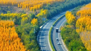 飘在“高速路”上的秋，忒美了吧！