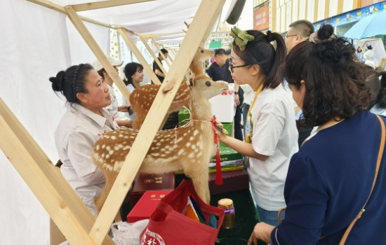 解锁“辽宁制造”好品好物魅力  来场“FIRST in Liaoning”消费之旅_fororder_图片47