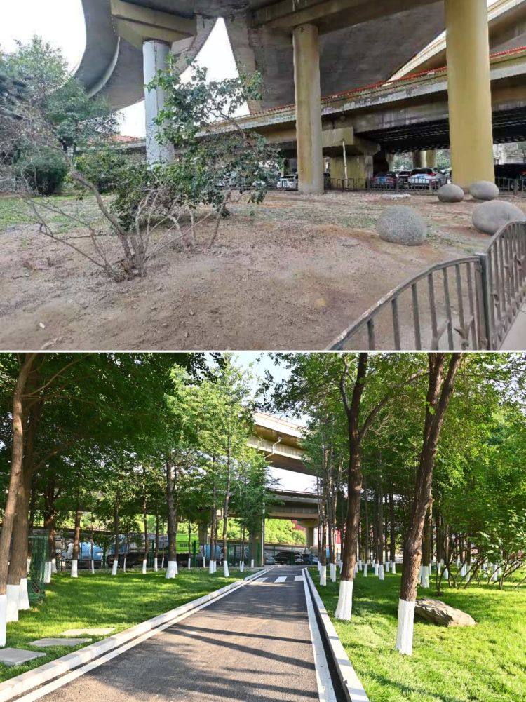 辽宁鞍山：城市更新绘就宜居新画卷