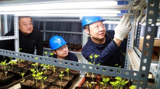 国网阜新供电公司“一户一策”呵护“种宝宝”健康繁育