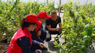 国网阜新供电公司：可靠电助力 绘就智慧种植“莓”好“丰”景