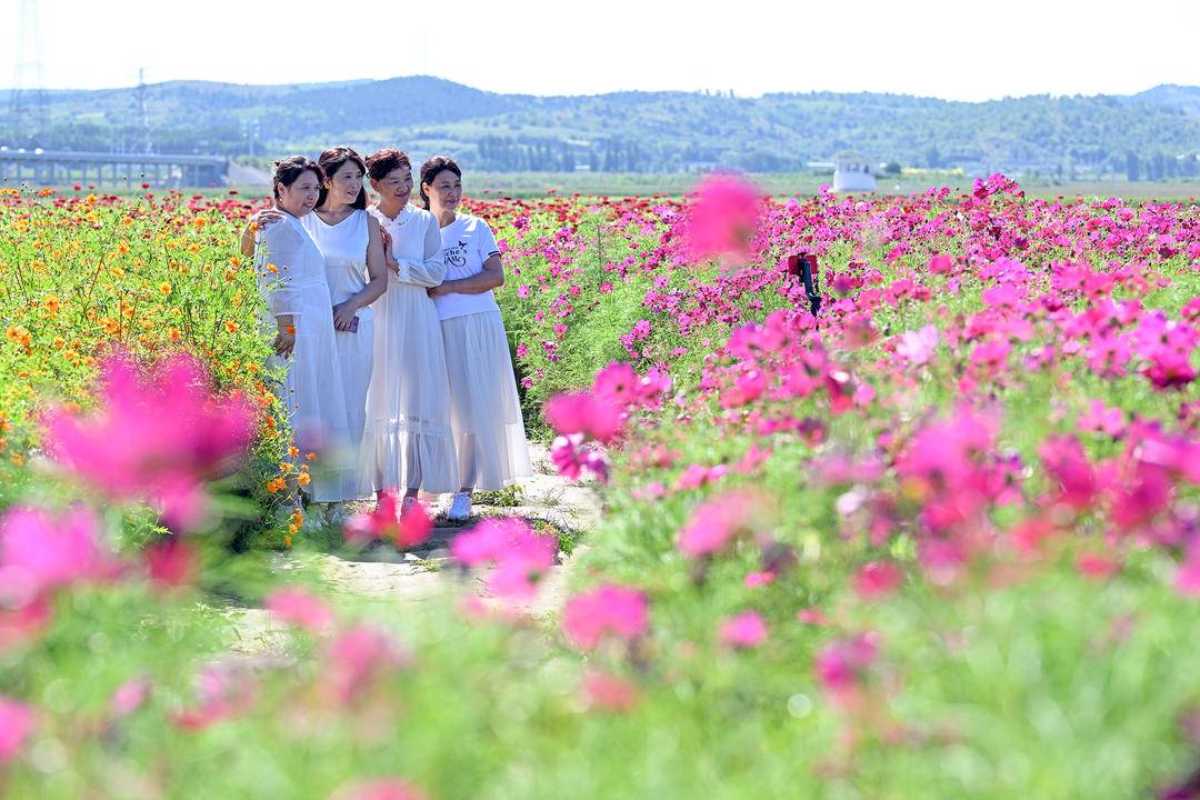 北票花海醉游人