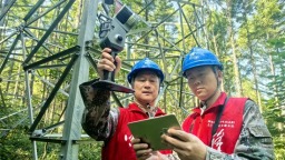 本溪供电公司首次应用手持激光扫描 精准排查输电线路树障隐患