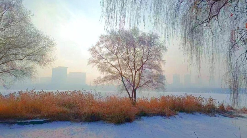 沈阳：薄雾凝霜景色美