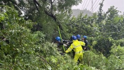 迎战台风“巴威” 本溪供电冒雨清障守护民生用电