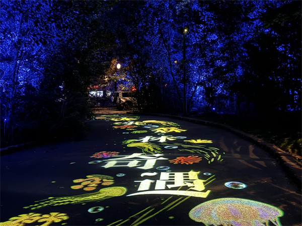 “仲夏森系花海+植物园奇妙夜”沈阳植物园沐光森林夜游7月闪耀开启_fororder_张琪植物园1