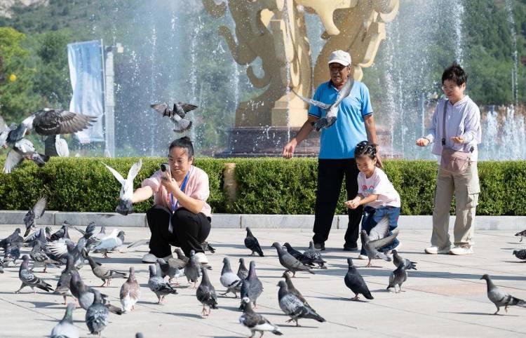 朝阳：打造生态旅游唯美画卷