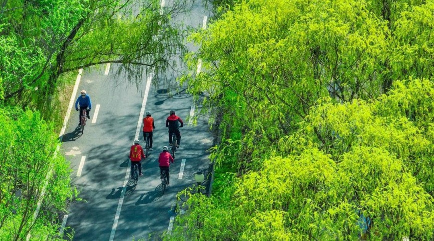 沈阳：春风又绿河两岸