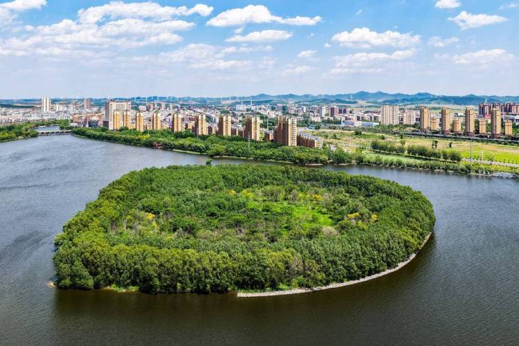 铁岭：环境变美，白鹭来栖