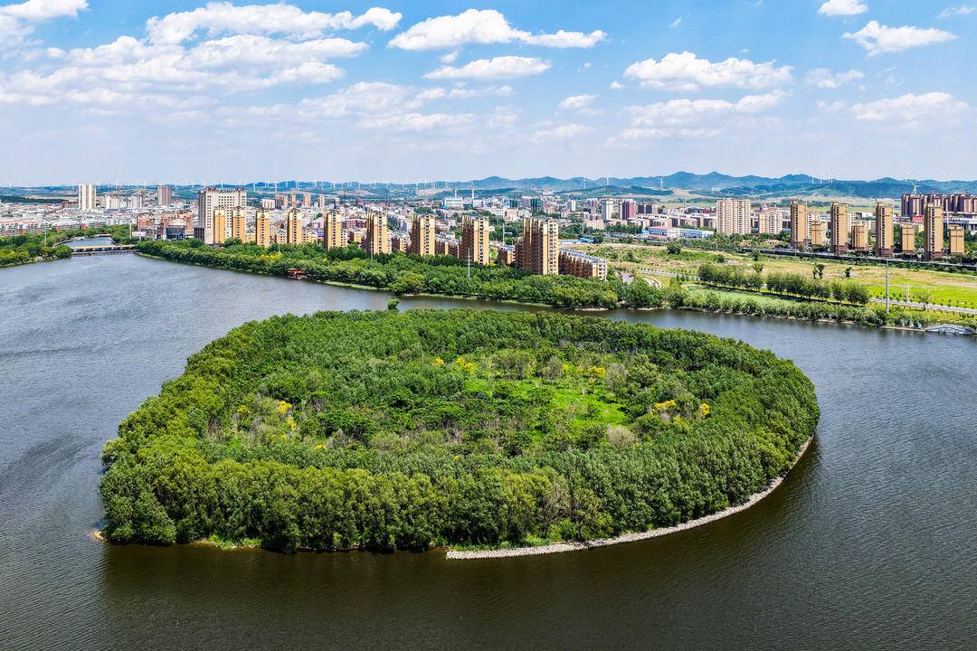 铁岭：环境变美，白鹭来栖