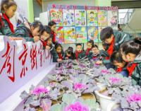 沈阳市和平区南京街第九小学开展科创劳动月活动