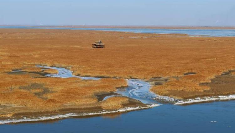 苇海冬景如画卷