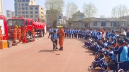 大连普兰店：小手拉大手 筑牢森林防火“安全墙”