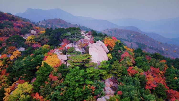 最佳观赏期！阜新第三届海棠山枫叶节启幕