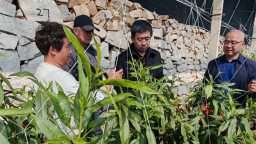 大连普兰店区：农技服务进果园 精准指导助增收