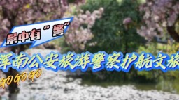 景中有“警” 沈阳浑南公安旅游警察护航文旅_fororder_视频封面
