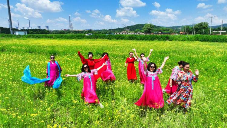 铁岭：微风拂柴河，花海映生态