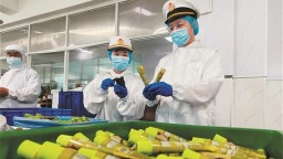 上半年出口量增长17.6% 大连辣根热销海外市场