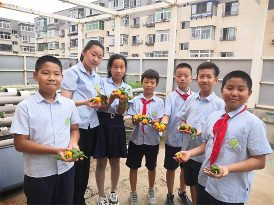 沈阳杏坛小学高年部开展种植项目式学习_fororder_教育杏坛