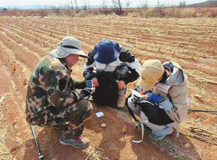 大凌河中游再添44处红山文化遗址