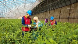 国网阜新供电公司：可靠电力稳稳守护群众“菜篮子”