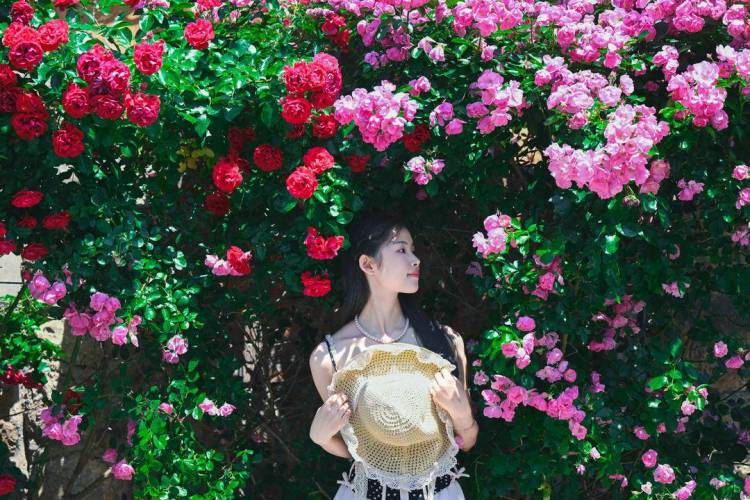 大连：老街小巷，藏不住的“花”样浪漫