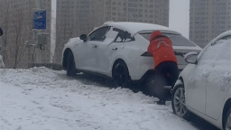 平安产险辽宁分公司：风雪中的平安橙 来自理赔人的暖心守护