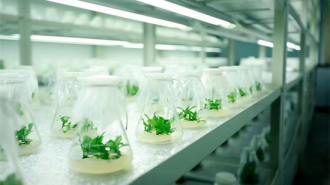 大连普兰店区：布局未来产业 生物制造破局初见成效
