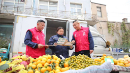 国网朝阳供电公司多维服务零距离  安全用电进乡村