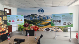 大连普兰店：上门送诊解难题 护航电商企业高质量发展_fororder_普兰店电商