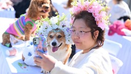 萌趣大连，春日“萌宠秀”