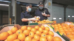 大连关区首批零关税进口非洲鲜果通关