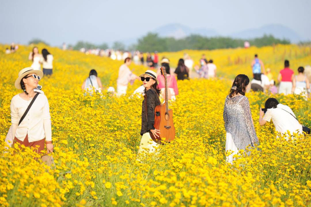 大连：盛夏花开游人醉