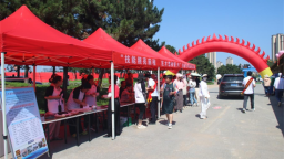 “春暖辽沈 兴企护航”暨2025普兰店第二届啤酒节人才招聘会“燃”动夏日