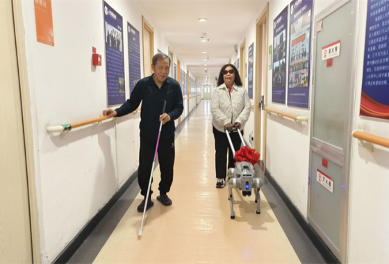 沈阳智能导盲机器狗“上岗”！陪伴视障老人开启新生活_fororder_黄非导盲狗1_副本