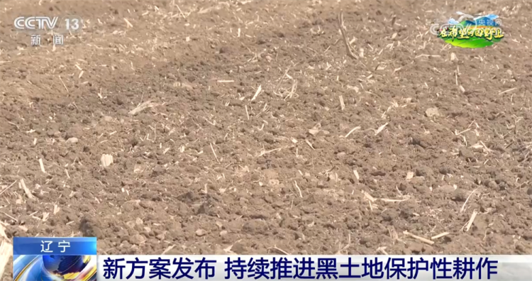 辽宁：筑牢国家“大粮仓” 这里积极探索让黑土地保护有了新答案